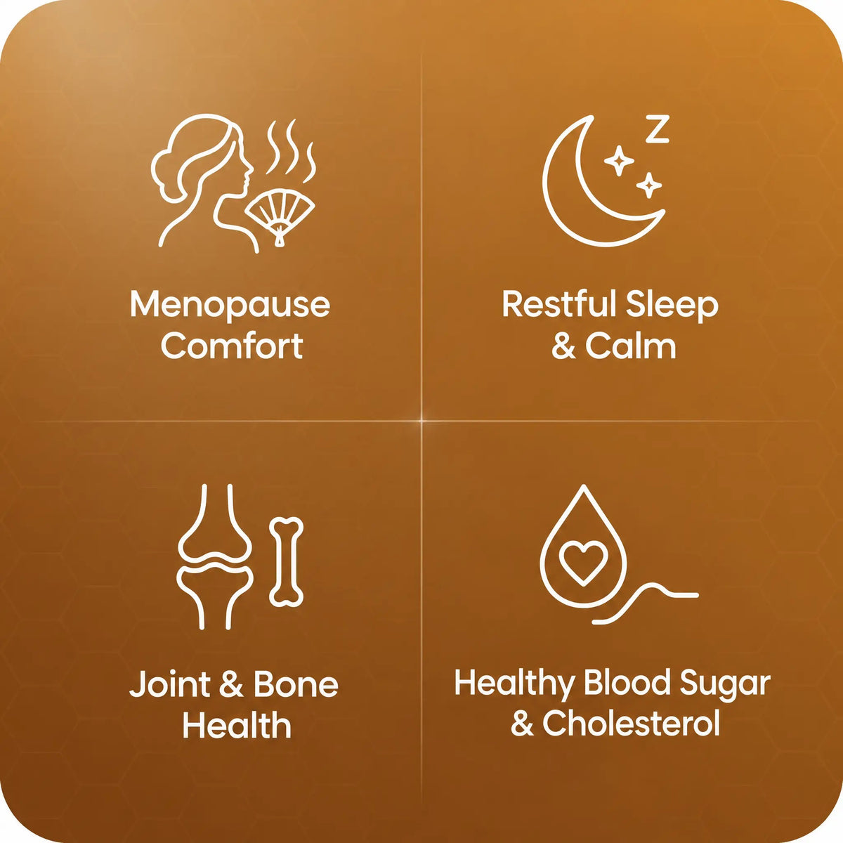 Daylii Royal Jelly benefits: menopause comfort, restful sleep and calm, joint and bone health, healthy blood sugar and cholesterol